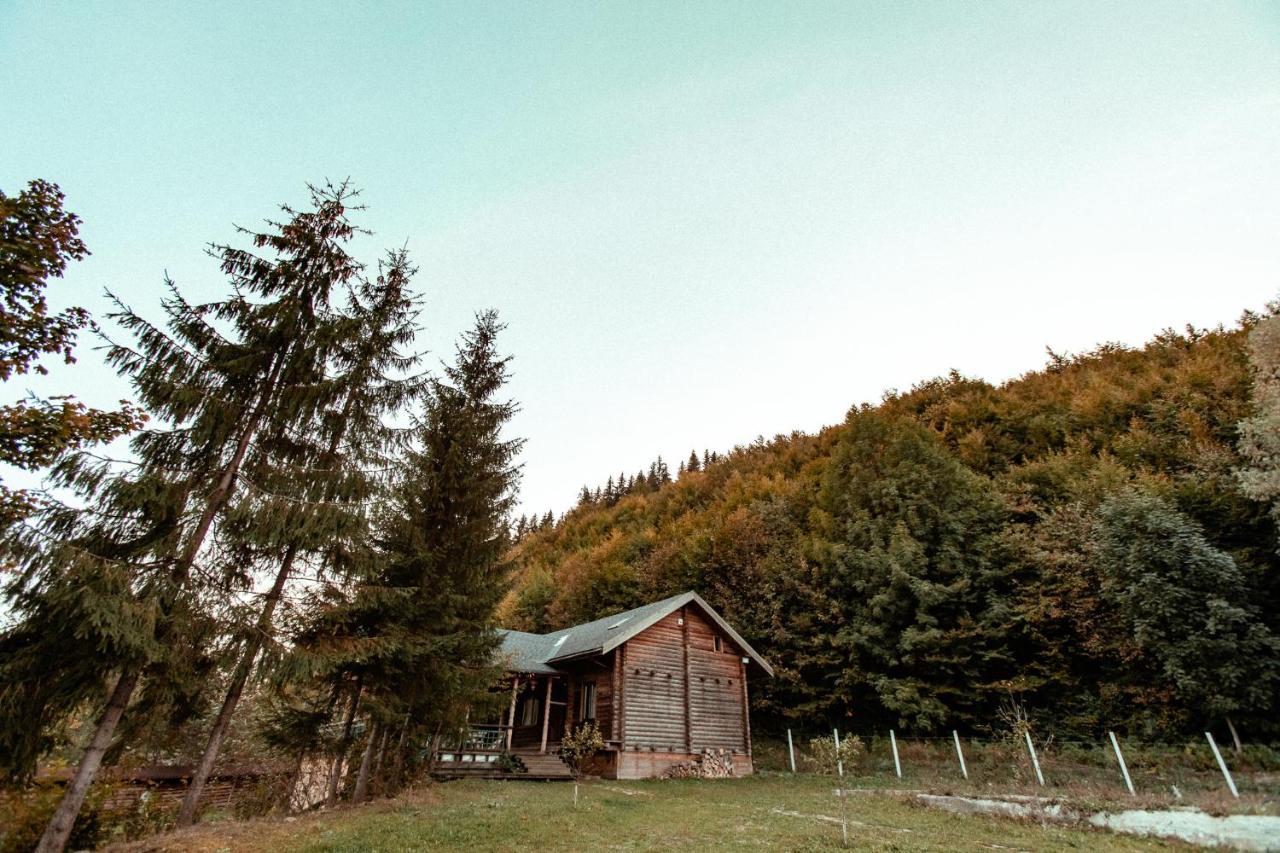 Cabana La Pantiru Valeni-Stinisoara Экстерьер фото