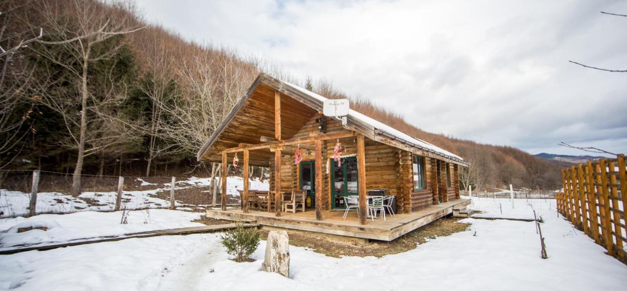 Cabana La Pantiru Valeni-Stinisoara Экстерьер фото